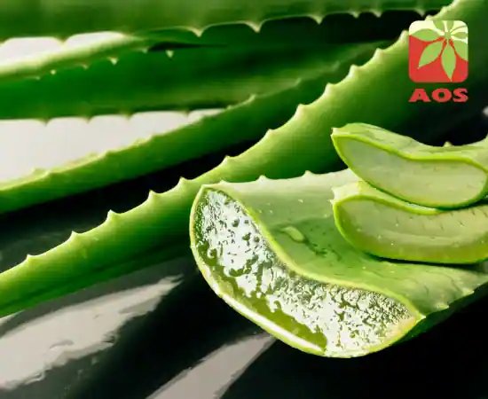 ALOE VERA