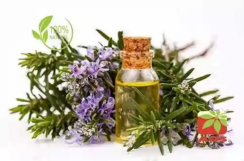 Rosemary Oil