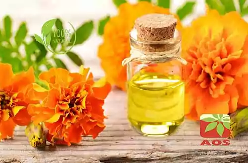 Tagetes Oil