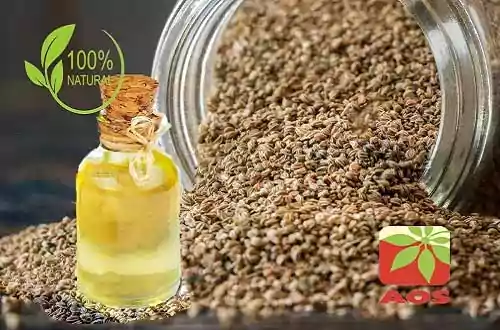 Celery Seed Oil