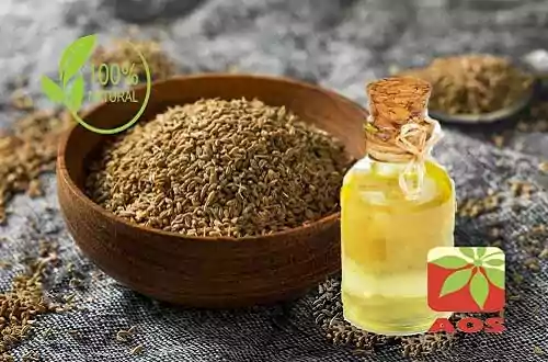 Ajwain Oil