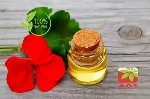 Geranium Oil