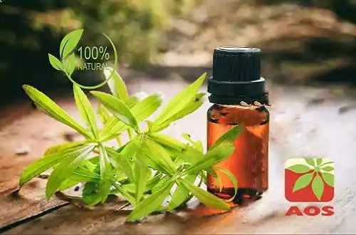 Tarragon Oil