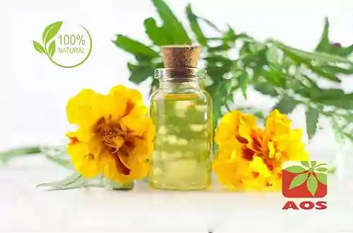 Calendula Oil