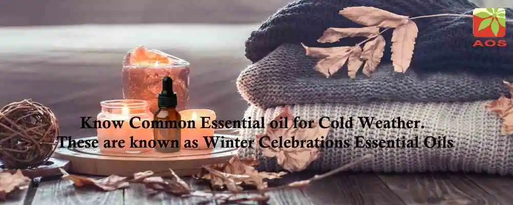 Welcome Winter with Warm Refreshing Essential Oils