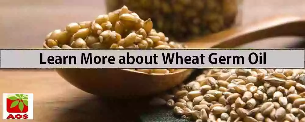 Learn More about Wheat Germ Oil
