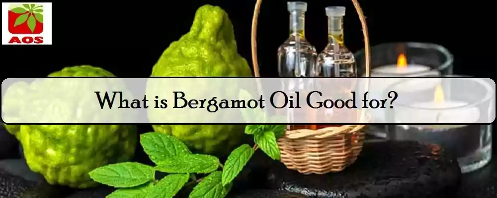 What is Bergamot Oil
