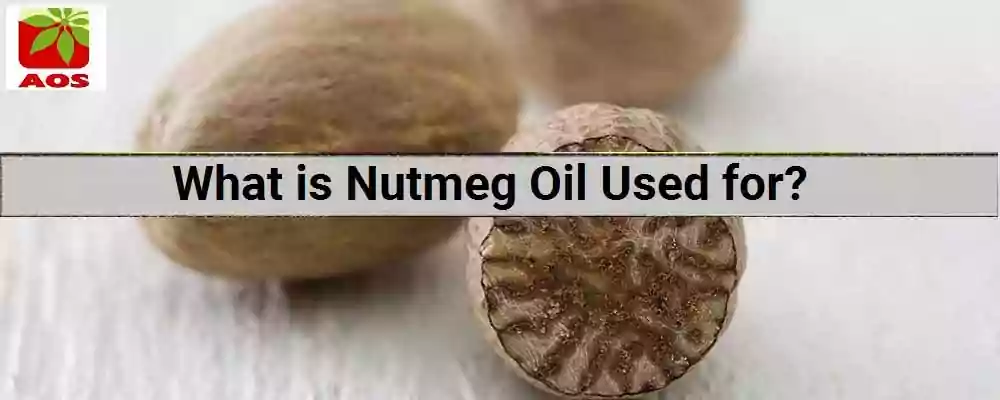 About Nutmeg Oil