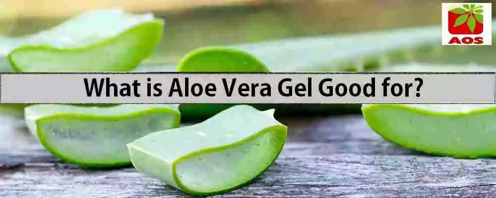 Know About Aloe Vera Gel