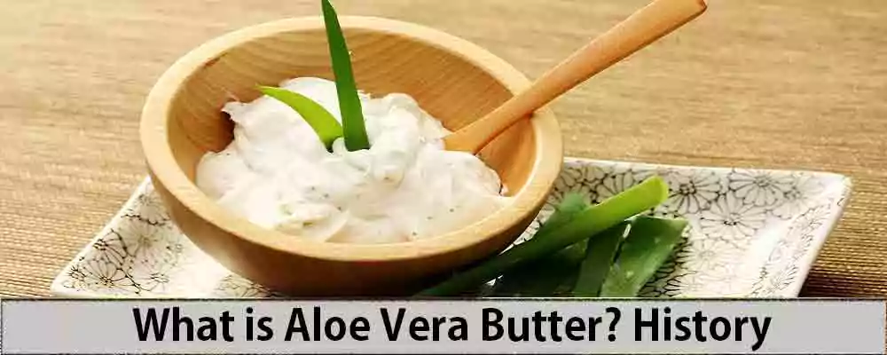 What is Aloe Vera Butter