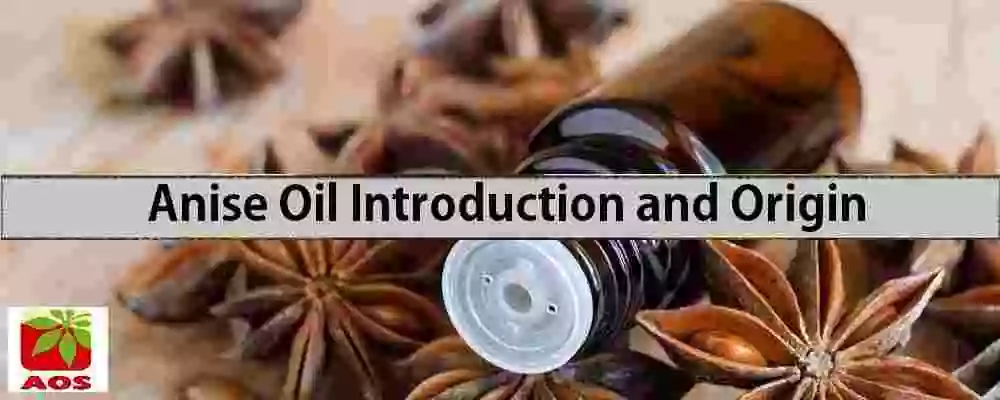 What is Anise Oil