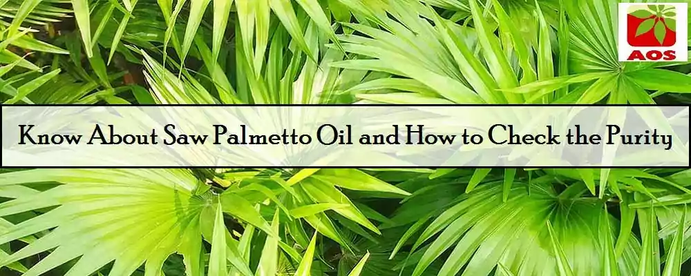 What is Saw Palmetto Oil