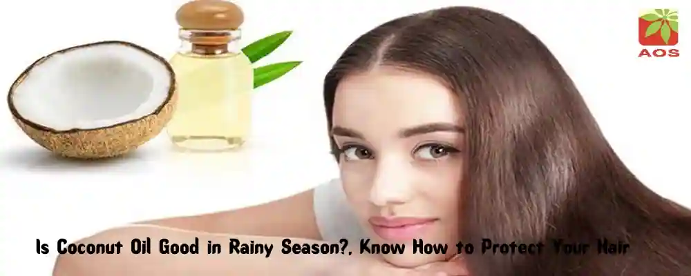 Best Oil for Hair During Rainy Season