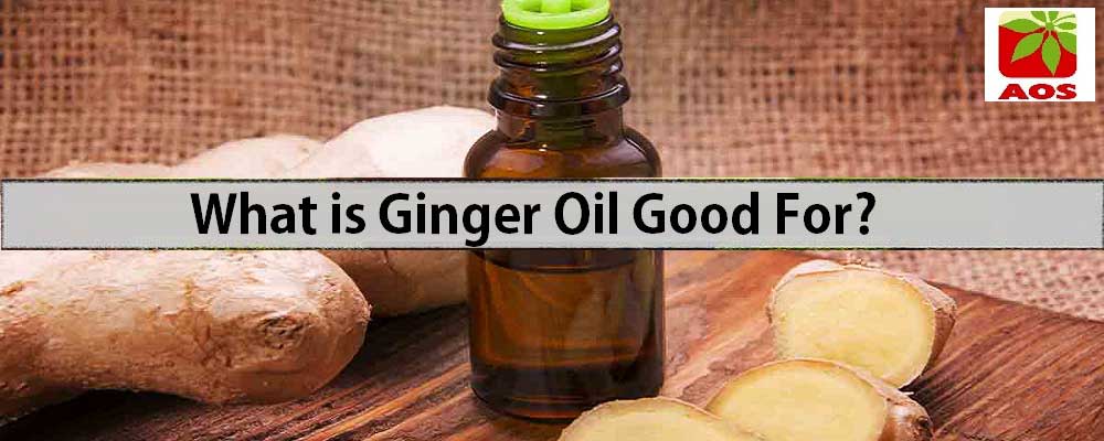 know-about-of-ginger-oil-uses-benefits-and-side-effects