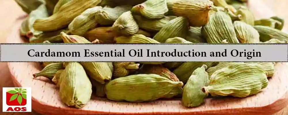 What is Cardamom Oil