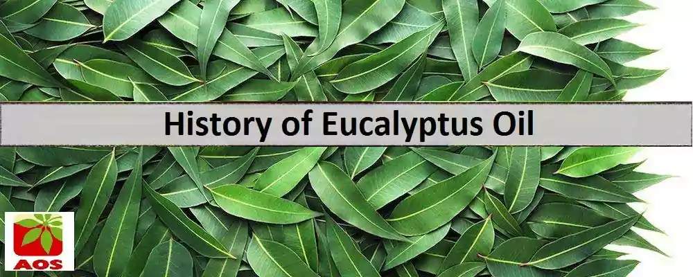 History of Eucalyptus Oil