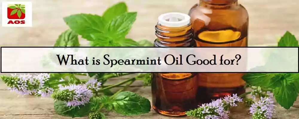 Spearmint Oil Benefits