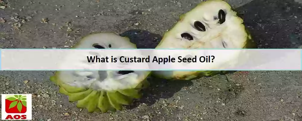 Custard Apple Seed Oil