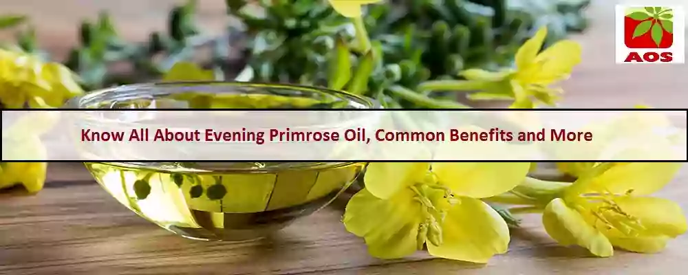 What is Evening Primrose Oil