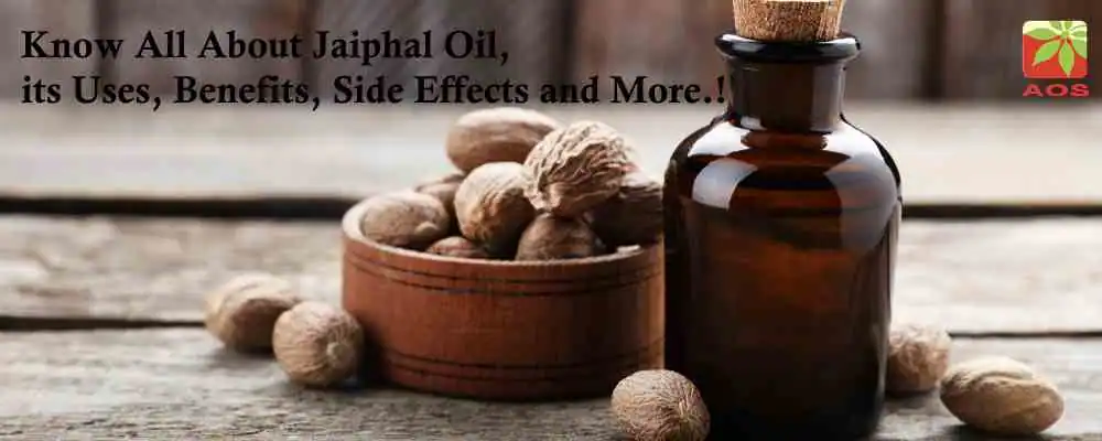 What is Jaiphal Oil