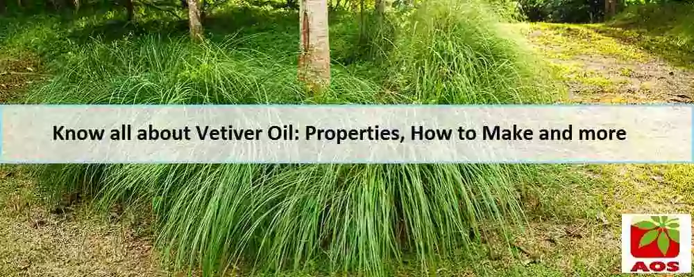 What is Vetiver Oil