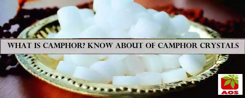 What is Camphor