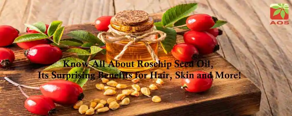 Rosehip Seed Oil Benefits