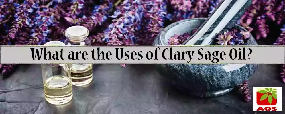 What is Clary Sage Oil