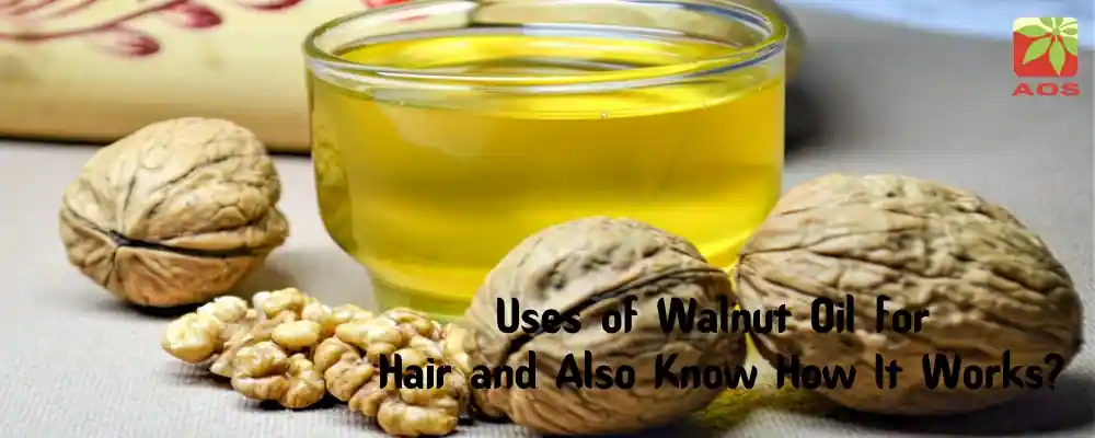 Walnut Oil for Hair and How It Works