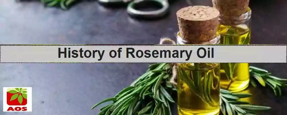 History of Rosemary Oil