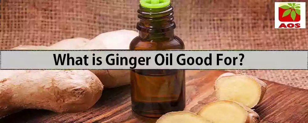 Know About of Ginger Oil