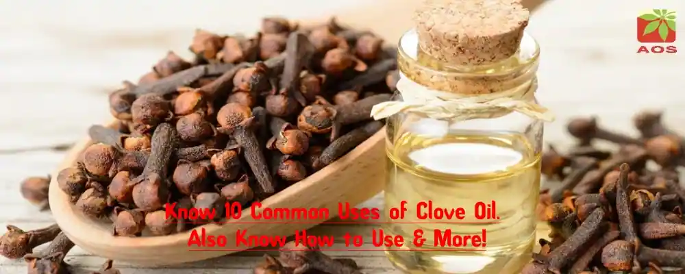 Common Uses of Clove Oil