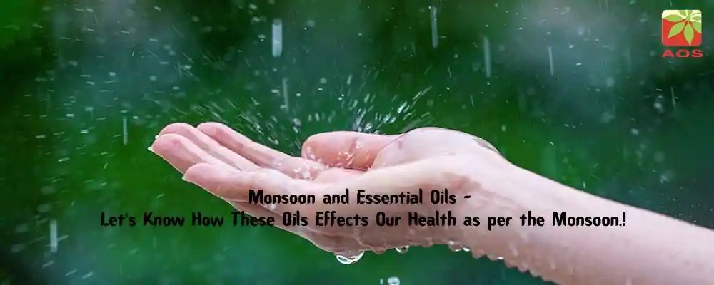 Essential Oils For Monsoon