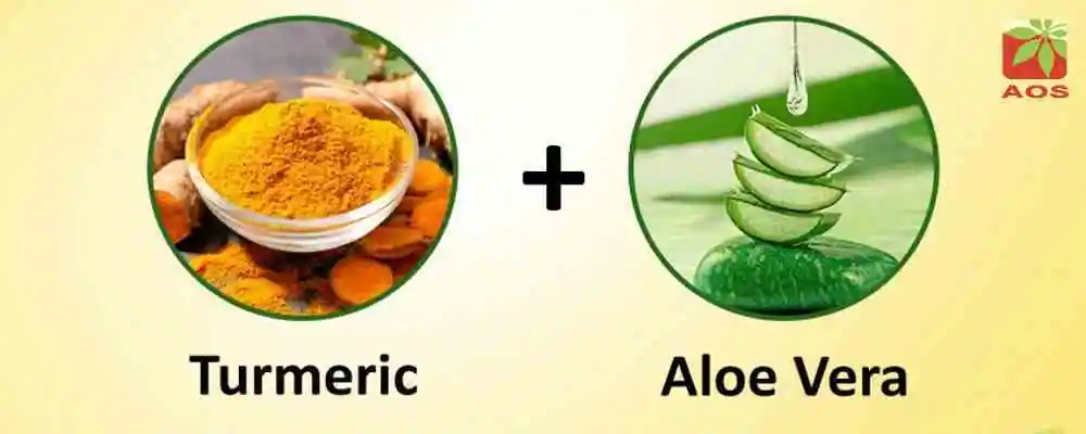 Combat Pollution with Aloe Vera Gel and Turmeric Oil