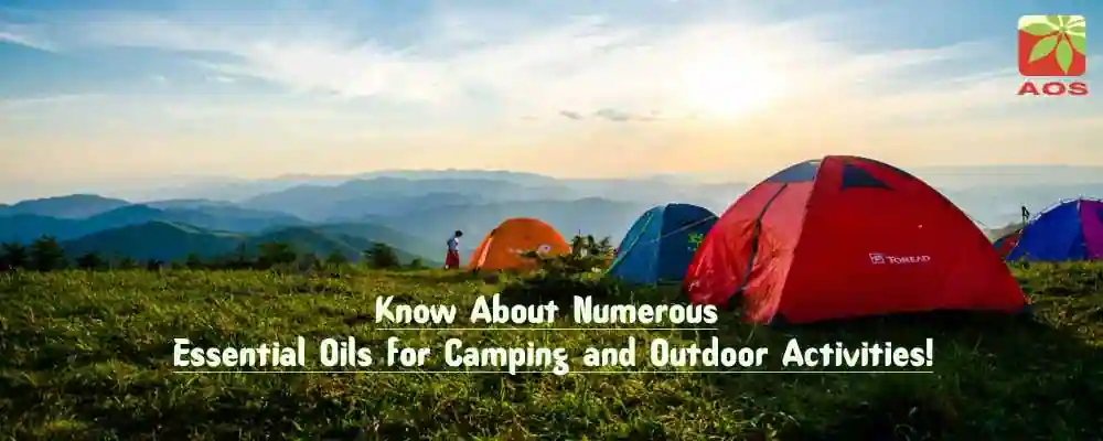 Essential Oils for Camping and Outdoor Activities