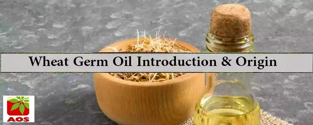 What is Wheat Germ Oil
