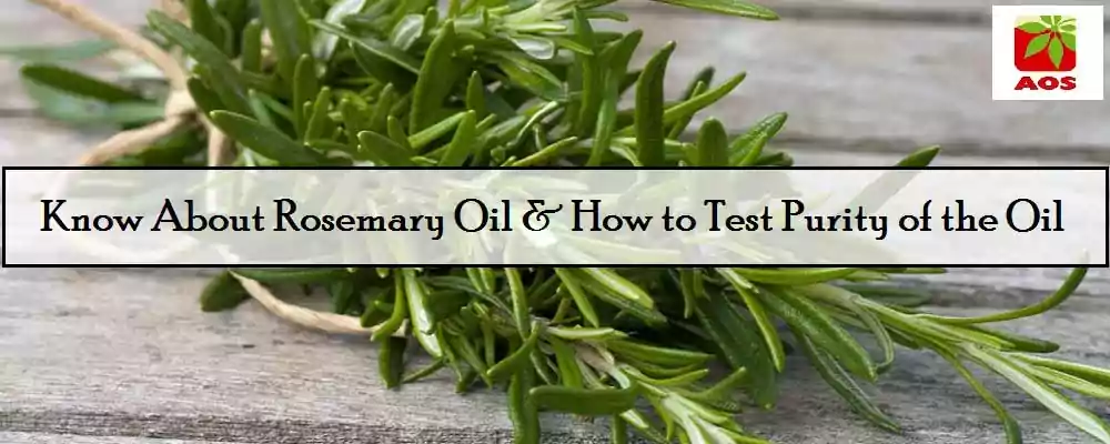 How to Check Purity of Rosemary Oil