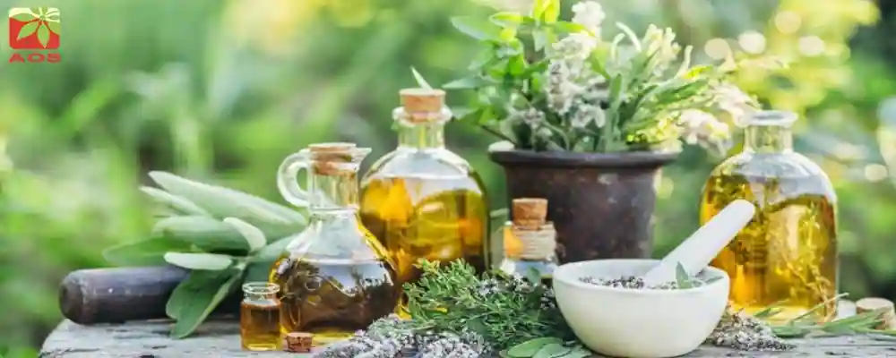 Best Essential Oils for Gardening