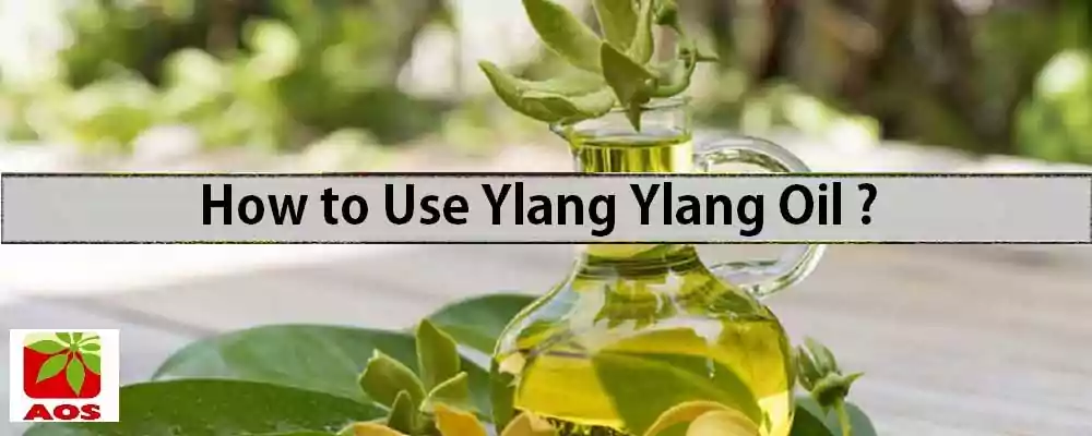 How to Use Ylang Ylang Oil