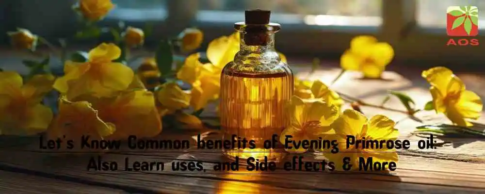 Common Benefits of Evening Primrose Oil