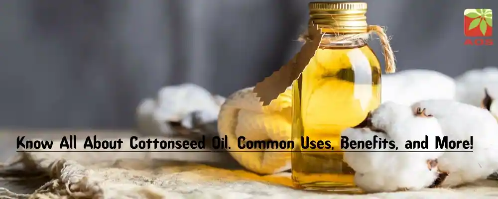 What is Cottonseed Oil