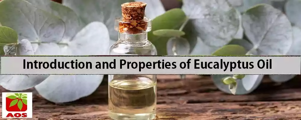 What are the benefits of Eucalyptus Oil