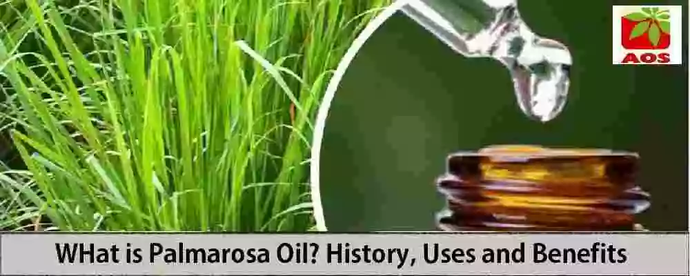 What is Palmarosa Oil