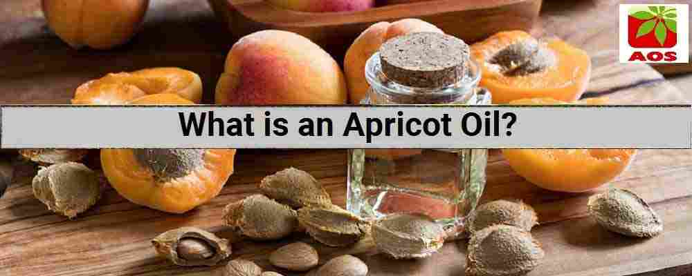 About Apricot Oil
