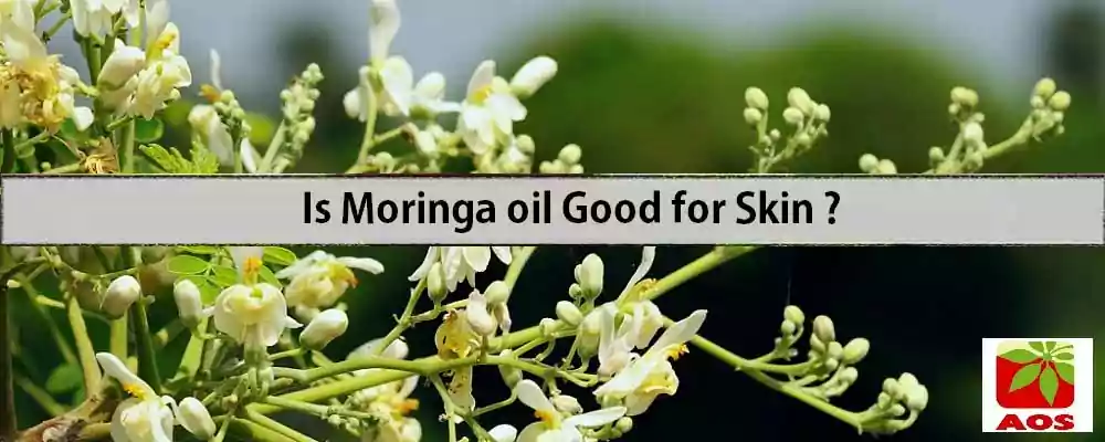 Is Moringa oil Good for Skin