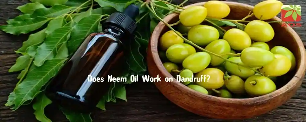 Neem Oil for Dandruff - Does It Really Work | AOS Blog
