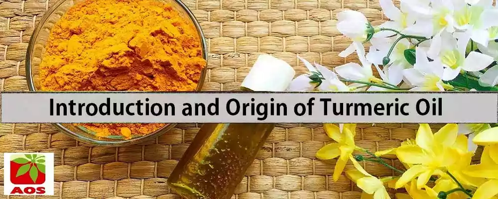 What is Turmeric Oil