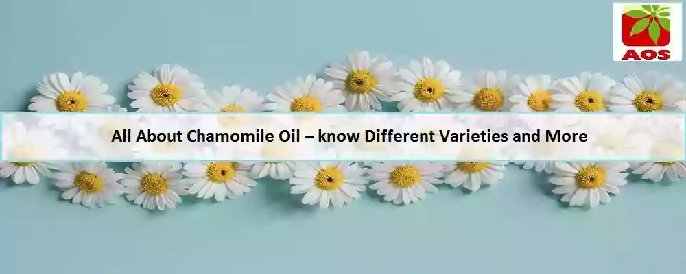 What is Chamomile Oil