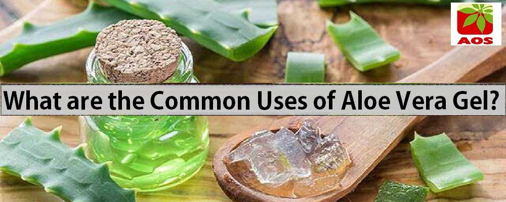 Know About Aloe Vera Gel Benefits How To Use On Face 6490