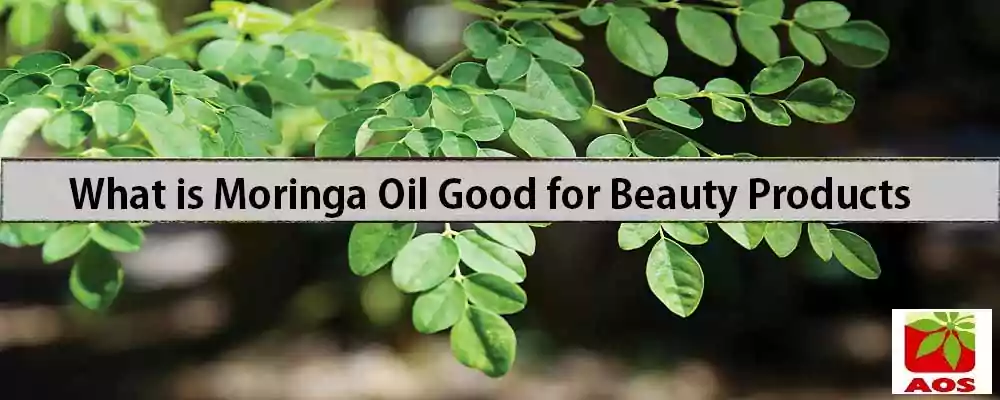 Moringa Beauty Oil